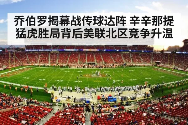 american football stadium crowd