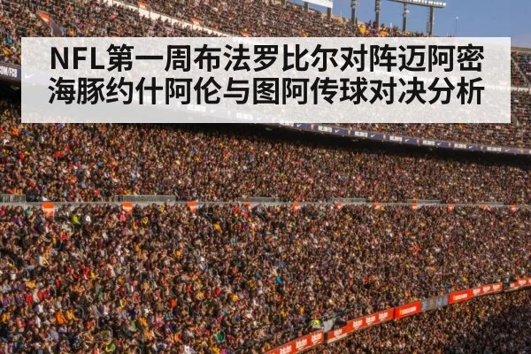 football stadium crowd